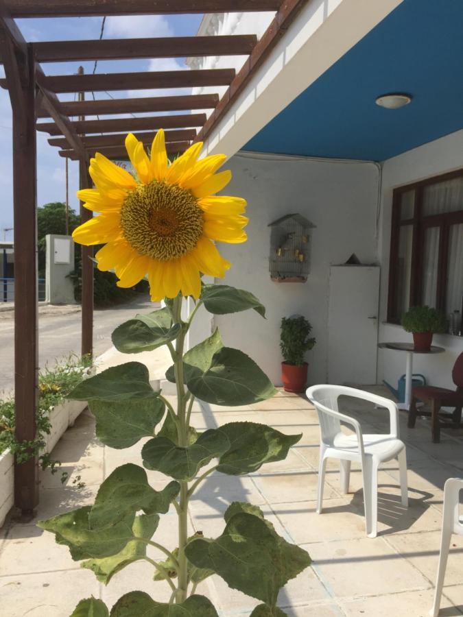 Villa Bonatsa Andros Home Bací Kültér fotó
