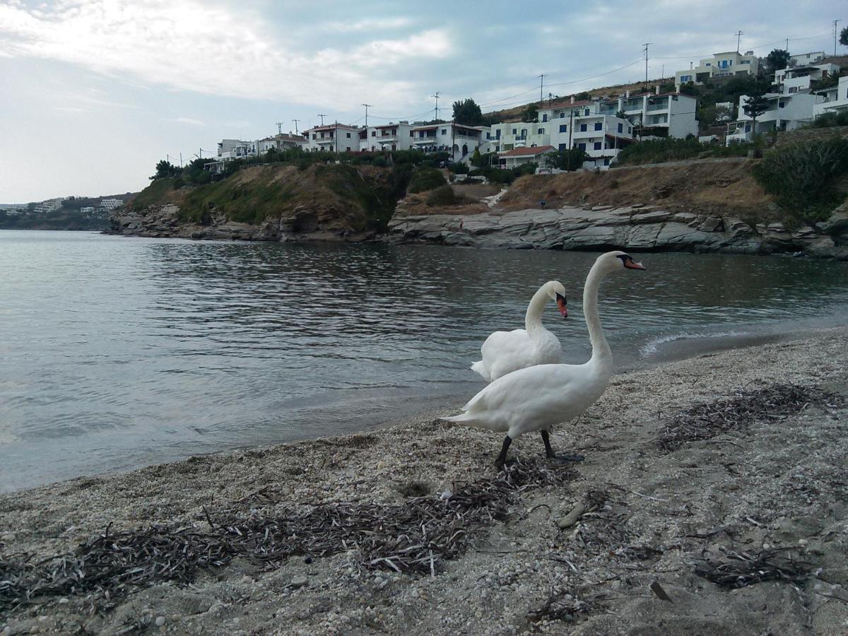 Villa Bonatsa Andros Home Bací Kültér fotó